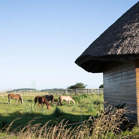 Los Chaja Ecolodge Бара де Валисас Екстериор снимка
