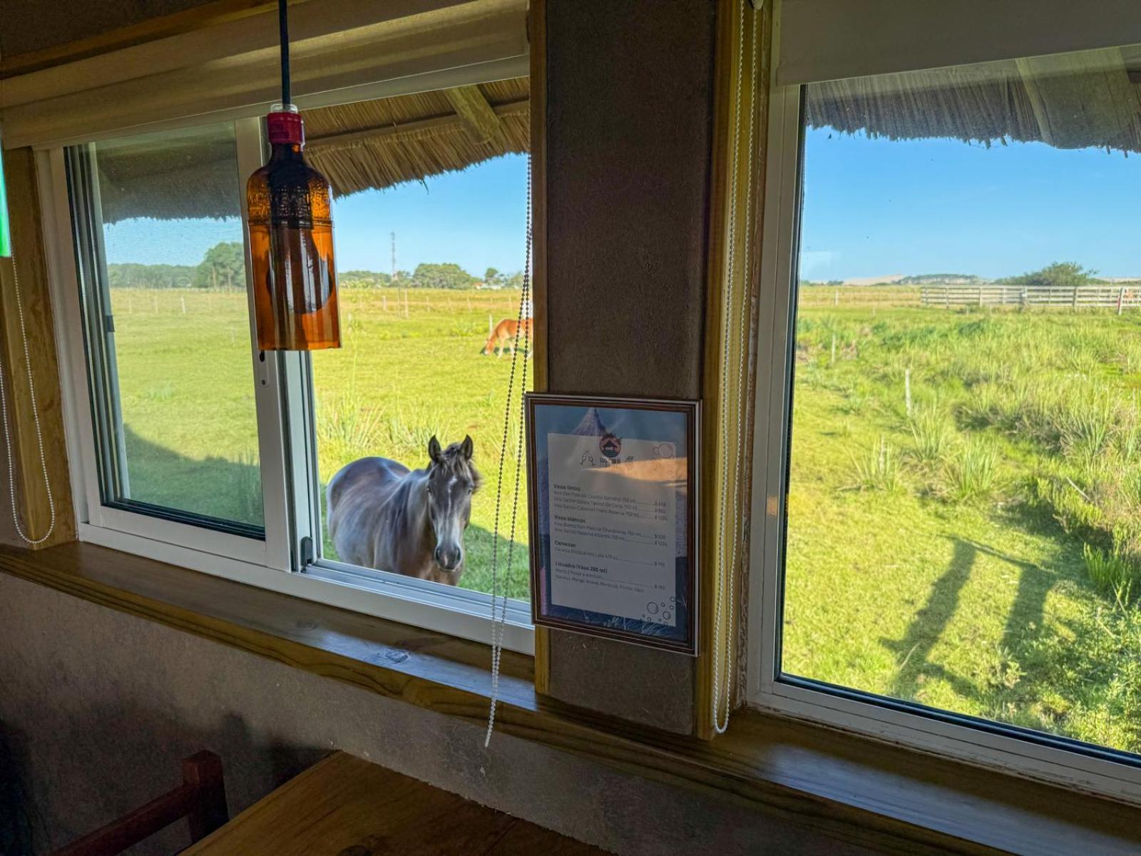Los Chaja Ecolodge Бара де Валисас Екстериор снимка