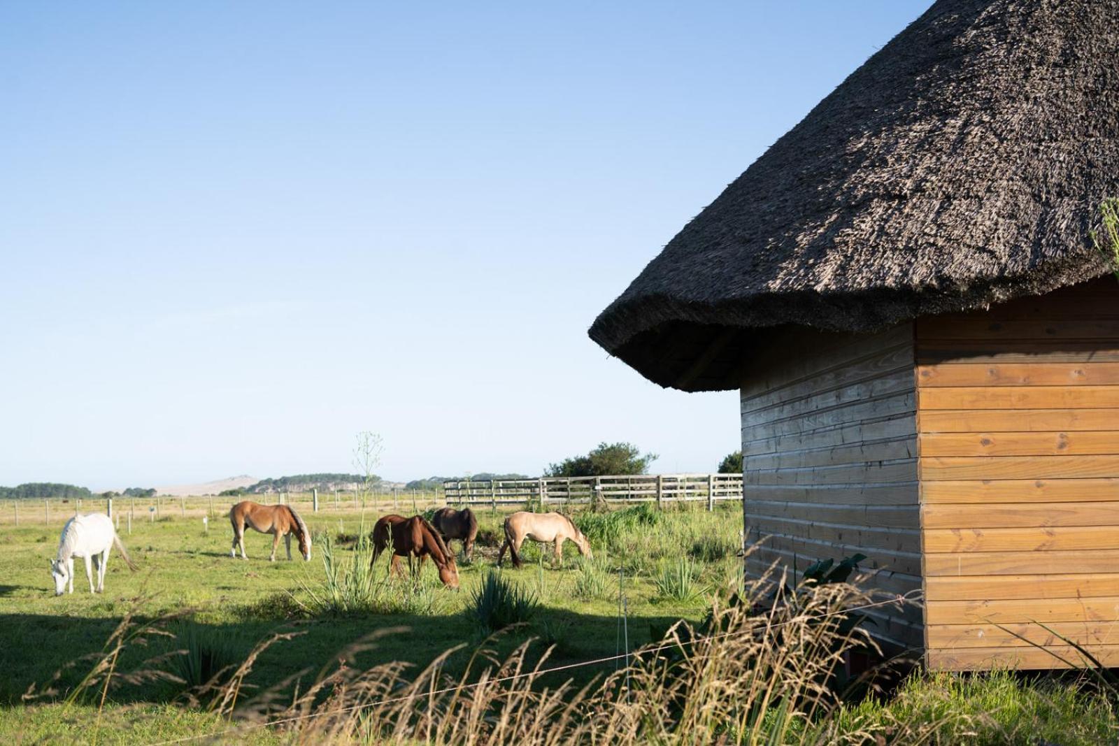 Los Chaja Ecolodge Бара де Валисас Екстериор снимка